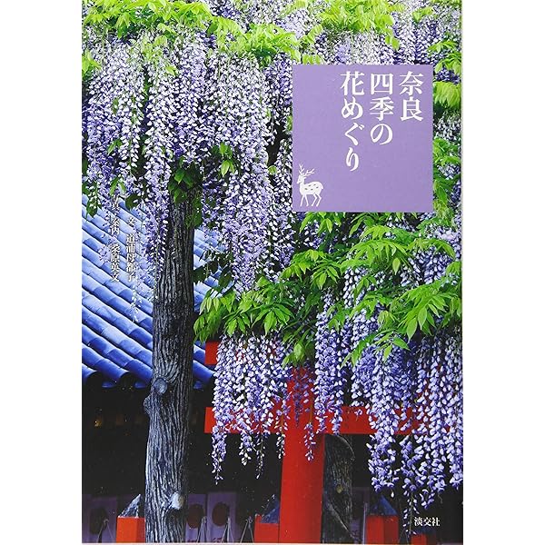 Amazon.co.jp: 奈良大和路の桜: 奈良を愉しむ : 田中 利典, 桑原 英文: 本